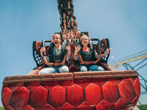 artikel foto