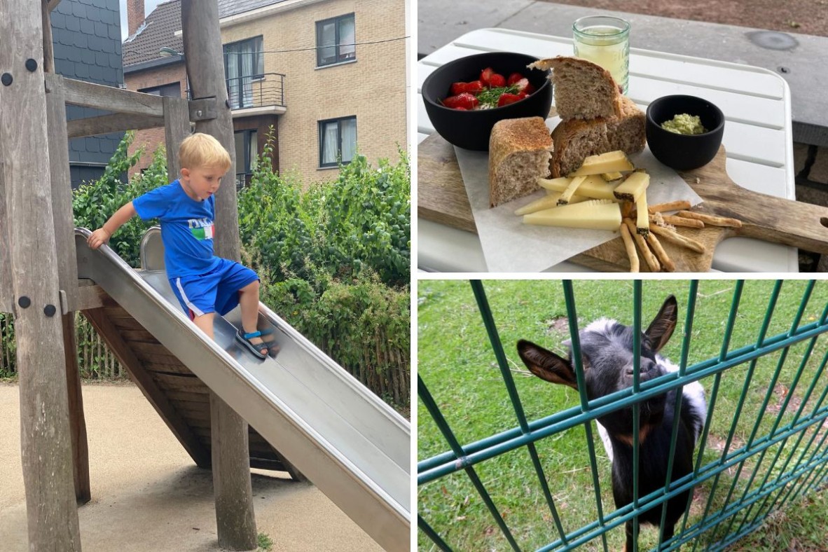 Enfant, repas et chèvre au parc de Roodebeek