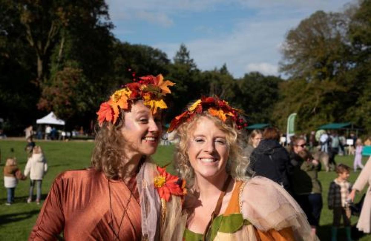 Feest in het bos