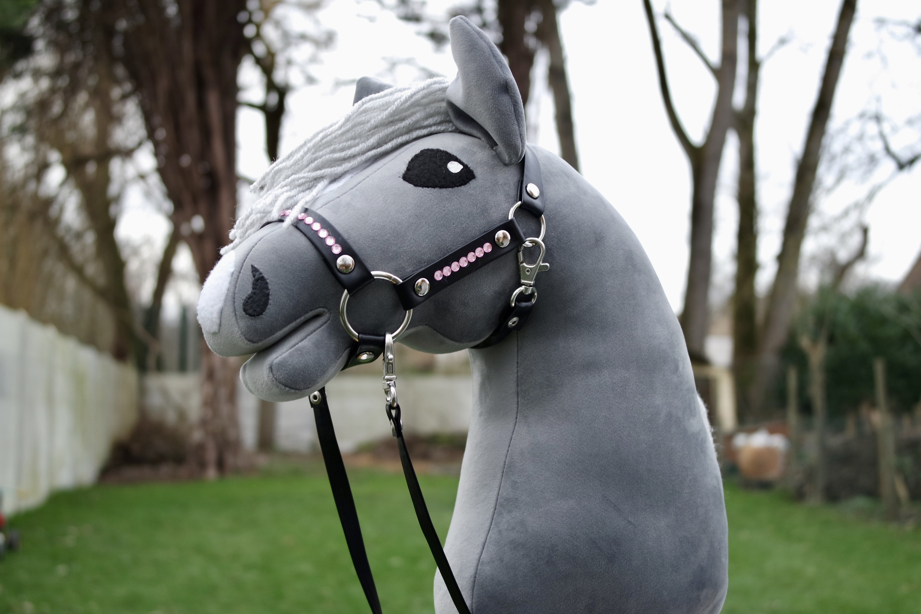 favoriete Verdikken Frustrerend Hobby horsing: een nieuwe hobby voor kinderen, overgewaaid uit Finland,  verovert Vlaanderen