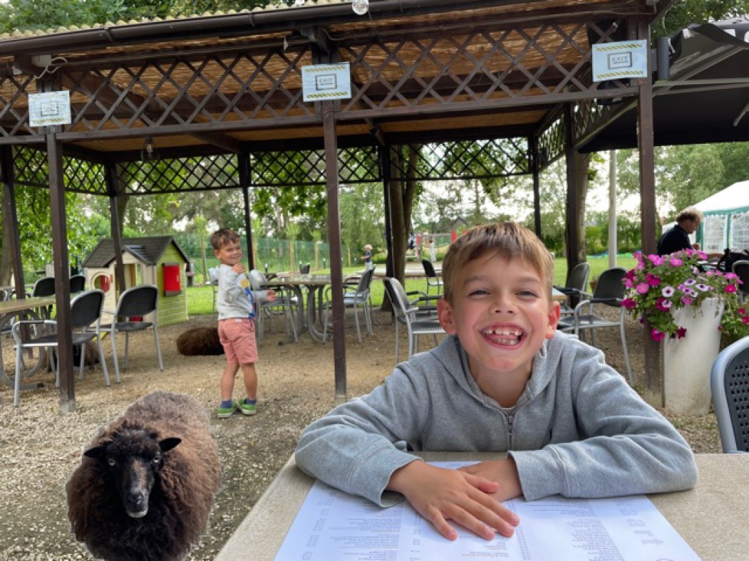 In dit #parenfriendly café-restaurant geniet je van de omgeving met schapen om je heen!