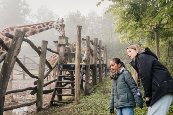 artikel foto