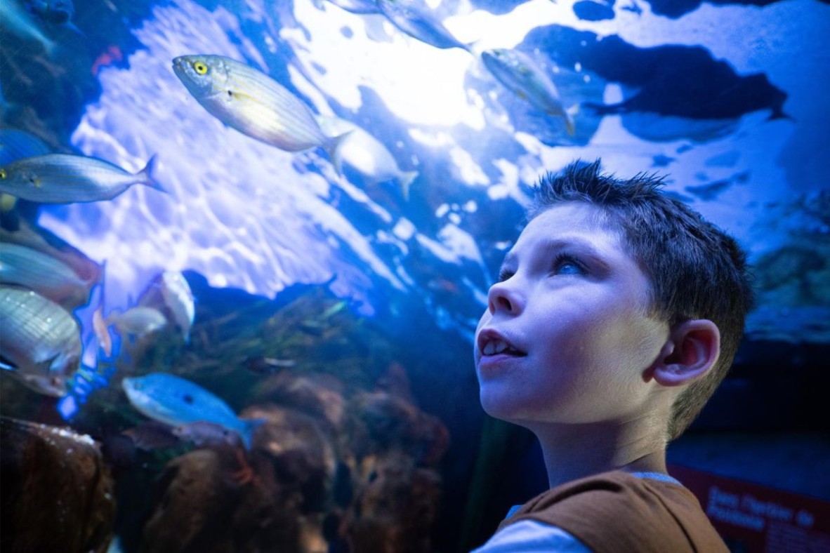 Le plus grand aquarium d'Europe est magnifique, et juste à proximité !