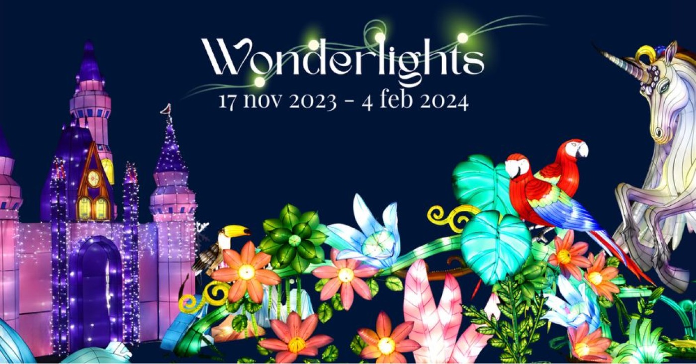 Découvrez WonderLights : Une Magie Hivernale