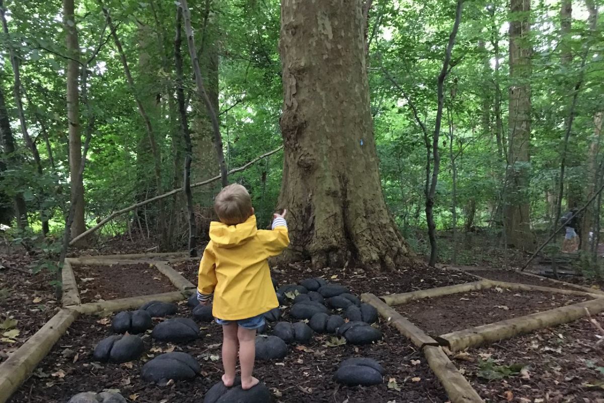 enfant dans la foret