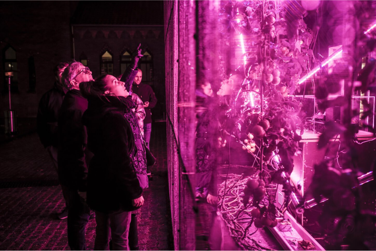 Découvrez les 9 festivals de lumière nocturnes en famille !