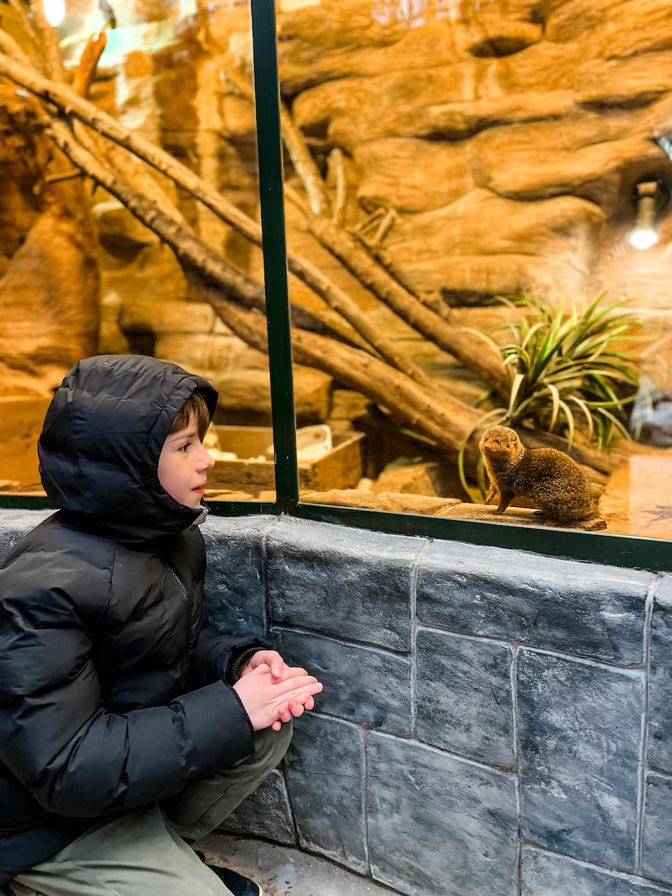 Le zoo tropical de Berkenhof abrite les plus beaux animaux exotiques.