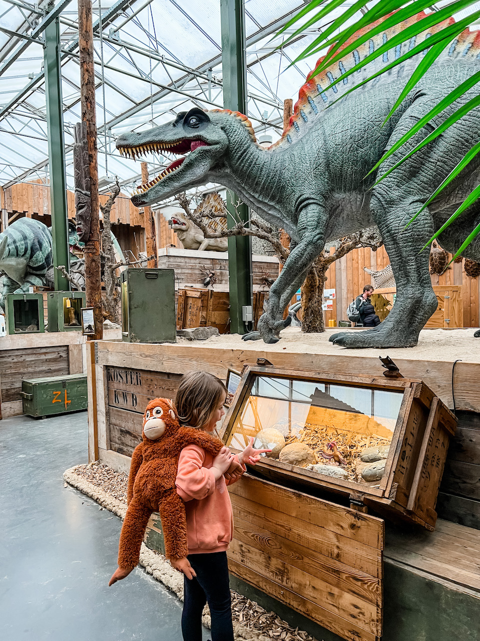 dinosaures et fossiles