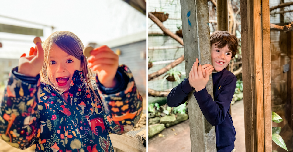 Les parents slash sont allés au zoo tropical de Berkenhof avec leurs enfants.  Un voyage amusant pour tout le monde!