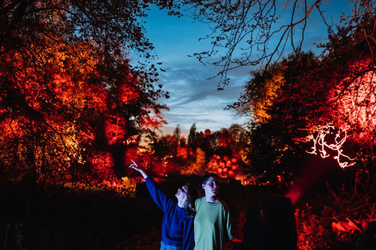 Découvrez les 9 festivals de lumière nocturnes en famille !