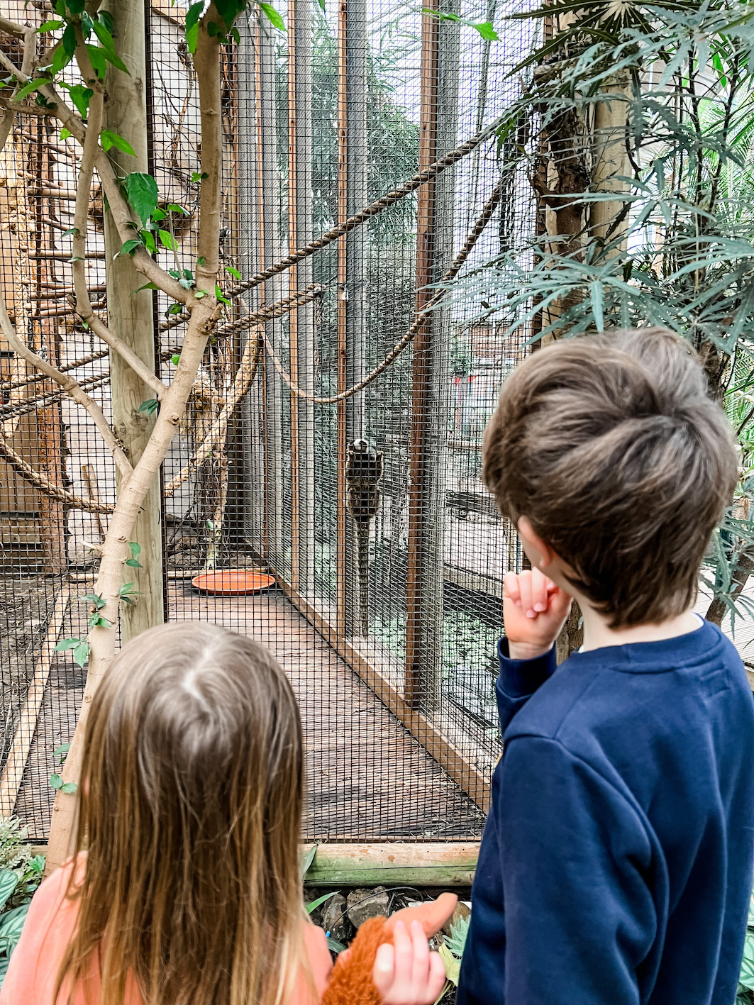 Le zoo tropical de Berkenhof abrite les plus beaux animaux exotiques.