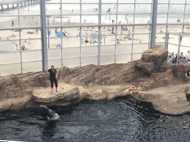 visite Nausicaà en famille