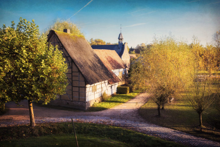 herfst bokrijk